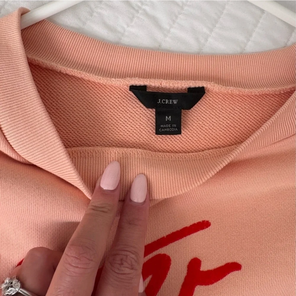 J. Crew Pink Crew Neck Sweatshirt